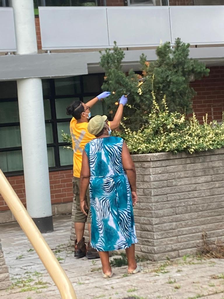 A woman in a blue dress looks on as a young person in a YouthWorx t-shirt trims a plant outside. 