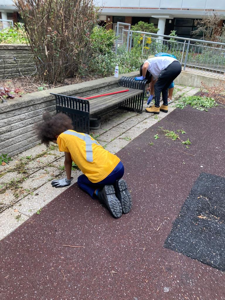 YouthWorx participant in a yellow uniform shirt is kneeling on the ground to pull up weeds.