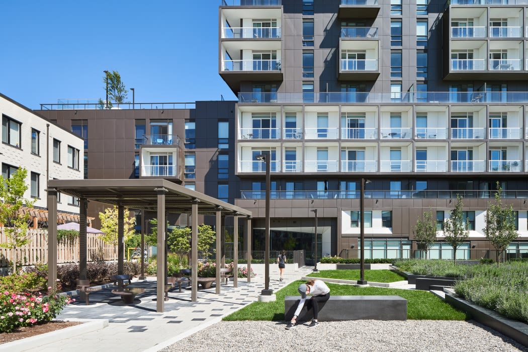 A grassy courtyard and a pergola behind a modern apartment building.